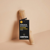 CANOPHERA Hundekaustab aus Kaffeeholz XS