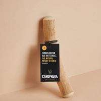 CANOPHERA Hundekaustab aus Kaffeeholz S