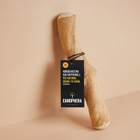 CANOPHERA Hundekaustab aus Kaffeeholz M