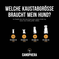 CANOPHERA Hundekaustab aus Kaffeeholz M