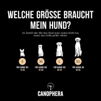 CANOPHERA Hundekauspielzeug aus Kaffeeholz und Kokosseil M