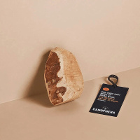 CANOPHERA Hundekauwurzel aus Baumheide