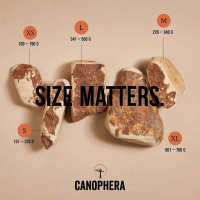 CANOPHERA Hundekauwurzel aus Baumheide L