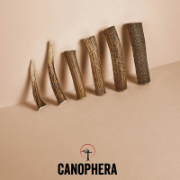 CANOPHERA Hundekaustange aus Rothirschgeweih