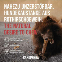 CANOPHERA Hundekaustange aus Rothirschgeweih XL