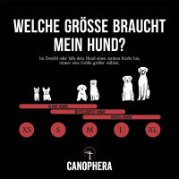 CANOPHERA Hundekaustange aus einer Rothirschgeweihhälfte XS