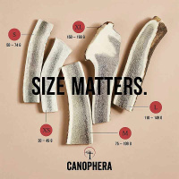 CANOPHERA Hundekaustange aus einer Rothirschgeweihhälfte S