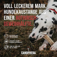 CANOPHERA Hundekaustange aus einer Rothirschgeweihhälfte XL