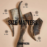 CANOPHERA Hundekauhorn vom Schaf M