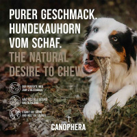 CANOPHERA Hundekauhorn vom Schaf M
