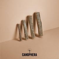 CANOPHERA Hundekaustab aus Olivenholz XXS