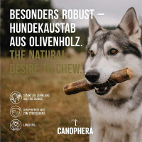 CANOPHERA Hundekaustab aus Olivenholz XXS