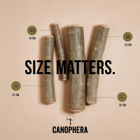 CANOPHERA Hundekaustab aus Olivenholz M