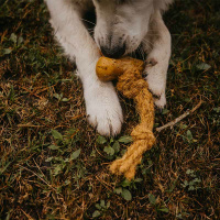 CANOPHERA COCOTUG Hundekauspielzeug aus Kaffeeholz und Kokosseil M