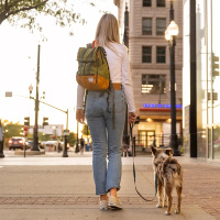K9 Sport Sack Rucksack Hunderucksack URBAN 3  oliv M