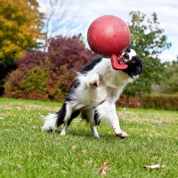 Jolly Tug-n-Toss  toller Spielball für Hunde hellblau M 15cm