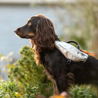 Non-stop dogwear Light Dog Backpack Hunderucksack teal petrol M