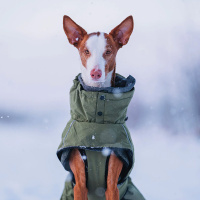 Rukka Pets Wintermantel Warmup 2.0 Gesamtübersicht