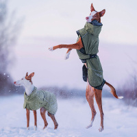 Rukka Pets Wintermantel Warmup 2.0 Gesamtübersicht