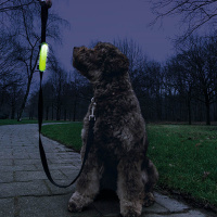 Beeztees Safety Gear Sicherheitslicht für Leinen