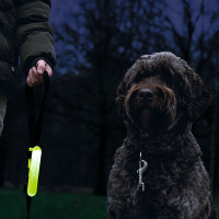 Beeztees Safety Gear Sicherheitslicht für Leinen