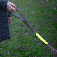 Beeztees Safety Gear Sicherheitslicht für Leinen leuchtgelb