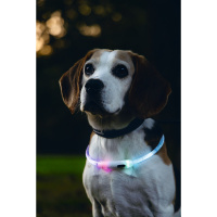 Beeztees Safety Gear Dogini LED Leuchthalsband 70cm für Hunde bunt