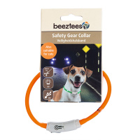 Beeztees Safety Gear Dogini LED Leuchthalsband 35cm für kleine Hunde orange