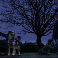 Beeztees Safety Gear Dogini LED Leuchthalsband 35cm für kleine Hunde blau