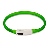 Beeztees Safety Gear Dogini LED Leuchthalsband 35cm für kleine Hunde grün