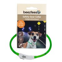 Beeztees Safety Gear Dogini LED Leuchthalsband 35cm für kleine Hunde grün