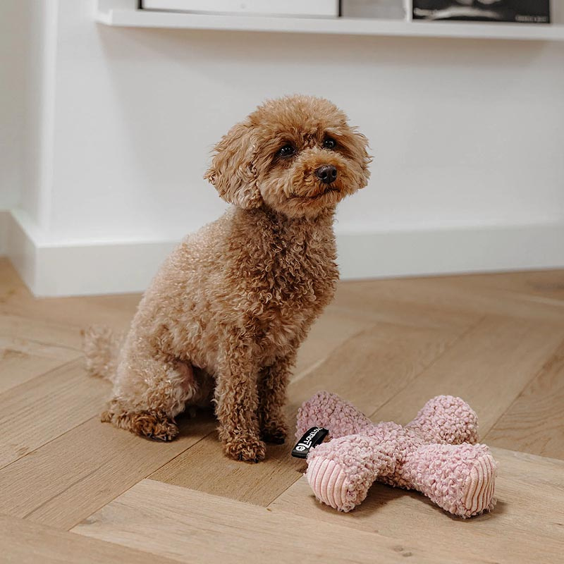 District 70 ZIGGY Kuschelspielzeug für Hunde baiser beige S