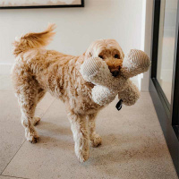 District 70 ZIGGY Kuschelspielzeug für Hunde baiser beige L