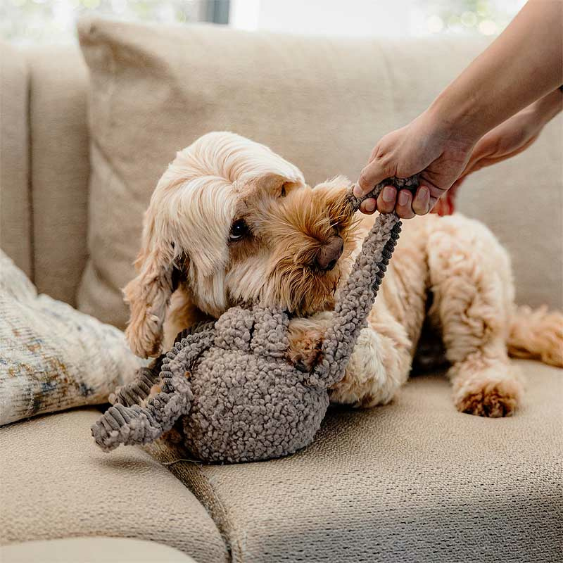 District 70 SQUID Oktopus Kuscheltier für Hunde taupe braun