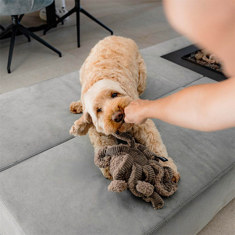 District 70 SQUID Oktopus Kuscheltier für Hunde taupe braun