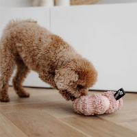 District 70 DAISY rundes Schnüffelspielzeug für Hunde taupe braun L