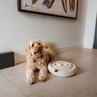 District 70 SWIRL stylische Schnüffelmatte pink