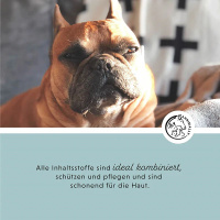 ANNIMALLY Skin Care Pro Pflegespray für Hunde