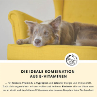 ANNIMALLY Vitamin B Komplex B Vitamine für Hunde