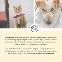 ANNIMALLY Vitamin B Komplex B Vitamine für Hunde