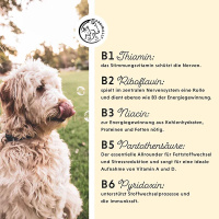 ANNIMALLY Vitamin B Komplex B Vitamine für Hunde