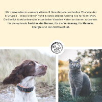 ANNIMALLY Vitamin B Komplex B Vitamine für Hunde 120 Tabletten