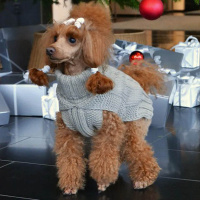 Rukka Pets Strickpullover SPARKY silber grau XS