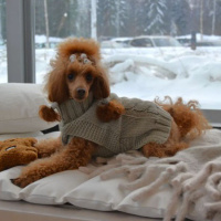 Rukka Pets Strickpullover SPARKY silber grau M