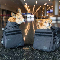 K9 Sport SKYPACK Hunderucksack und Tragetasche 2 in 1