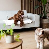 District 70 NUZZLE Hundedecke Kuscheldecke dunkelgrau