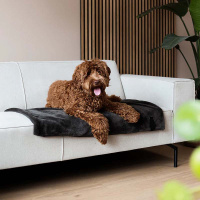 District 70 NUZZLE Hundedecke Kuscheldecke merengue beige