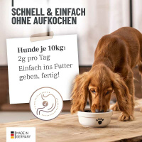 REAVET Magenpulver für Hunde