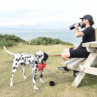 KONG Duo Drinker Edelstahlflasche mit Trinknapf 910ml