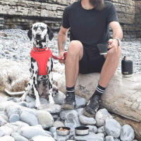 KONG Duo Day Trek Edelstahlflasche mit 2 Näpfen